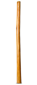 Gloss Finish Didgeridoo (TW925)